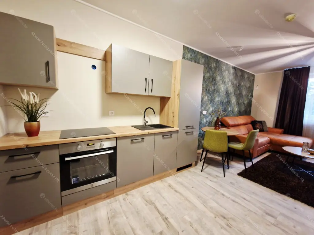 Kiadó albérlet 200000 Ft/hó áron: Budapest, IX. kerület  Telepy utca. Mérete: 28 nm, 1 szobás | Alberlet.hu - 6649907