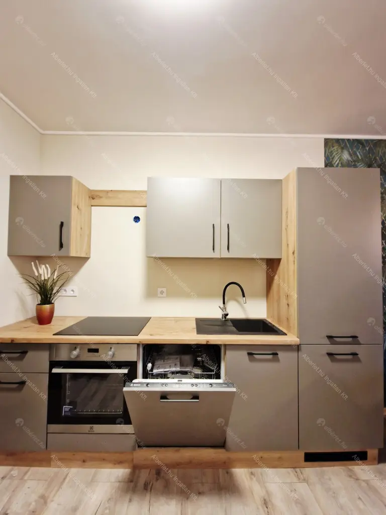 Kiadó albérlet 200000 Ft/hó áron: Budapest, IX. kerület  Telepy utca. Mérete: 28 nm, 1 szobás | Alberlet.hu - 6649909