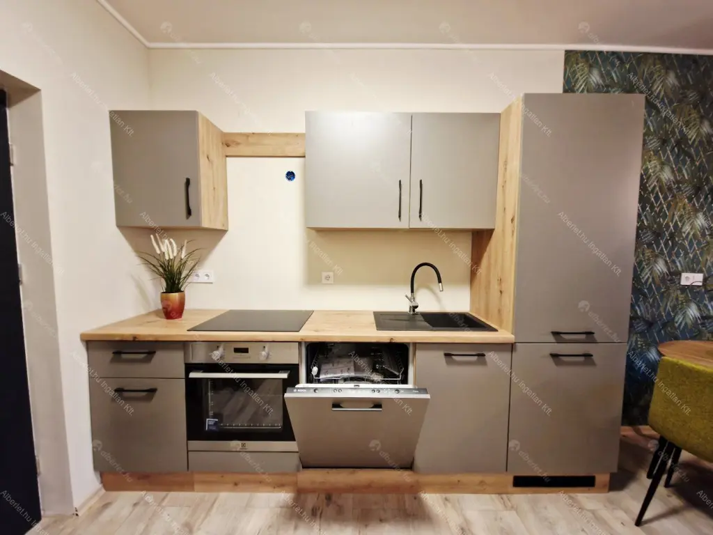 Kiadó albérlet 200000 Ft/hó áron: Budapest, IX. kerület  Telepy utca. Mérete: 28 nm, 1 szobás | Alberlet.hu - 6649910