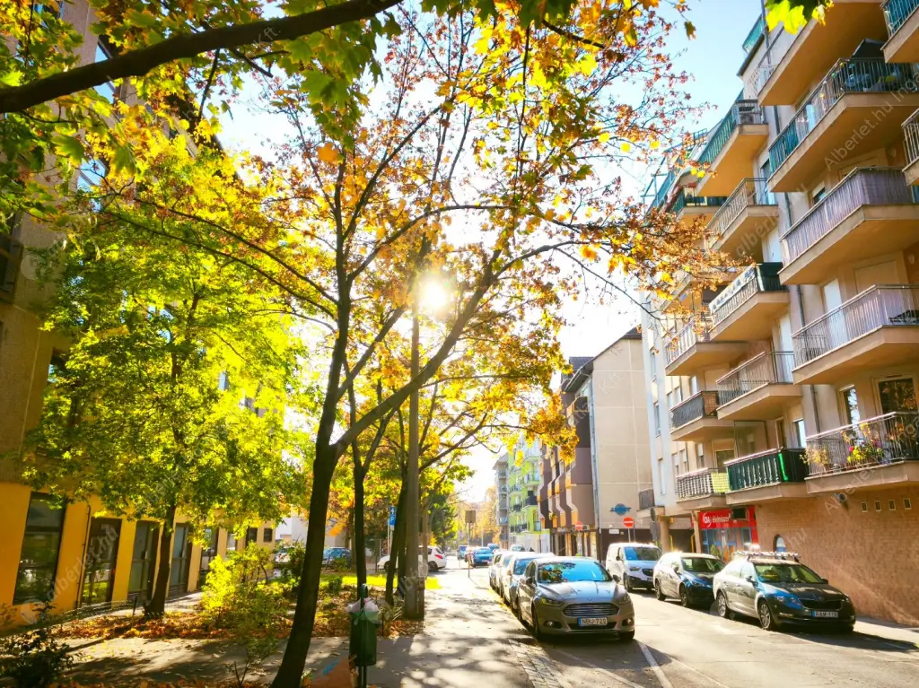 Kiadó albérlet 230000 Ft/hó áron: Budapest, IX. kerület  Telepy utca. Mérete: 48 nm, 2 szobás | Alberlet.hu - 6571843