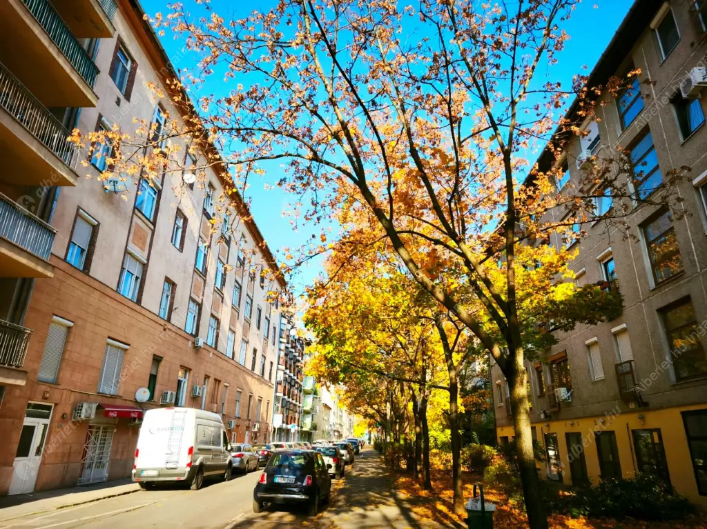 Kiadó albérlet 230000 Ft/hó áron: Budapest, IX. kerület  Telepy utca. Mérete: 48 nm, 2 szobás | Alberlet.hu - 6571853