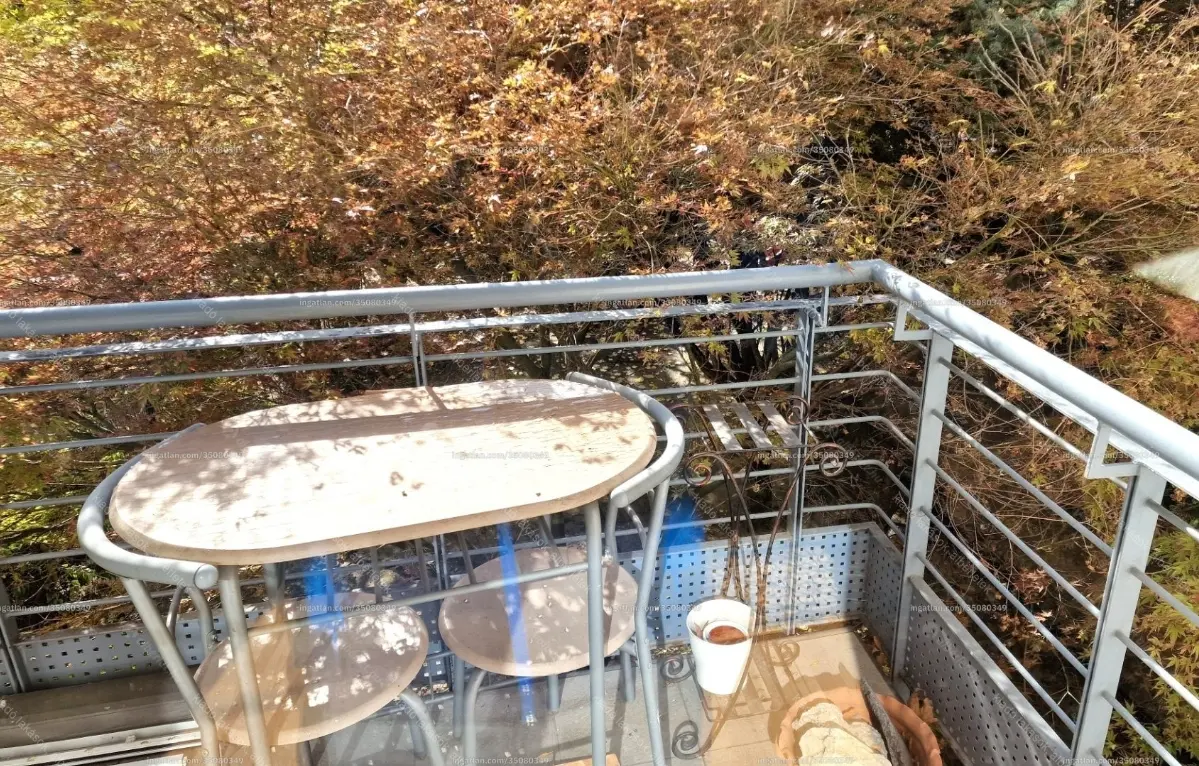 Kiadó albérlet 250000 Ft/hó áron: Budapest, IX. kerület  Thaly Kálmán utca. Mérete: 42 nm, 1 szobás | Alberlet.hu - 6644856