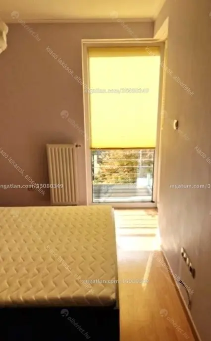 Kiadó albérlet 250000 Ft/hó áron: Budapest, IX. kerület  Thaly Kálmán utca. Mérete: 42 nm, 1 szobás | Alberlet.hu - 6644861