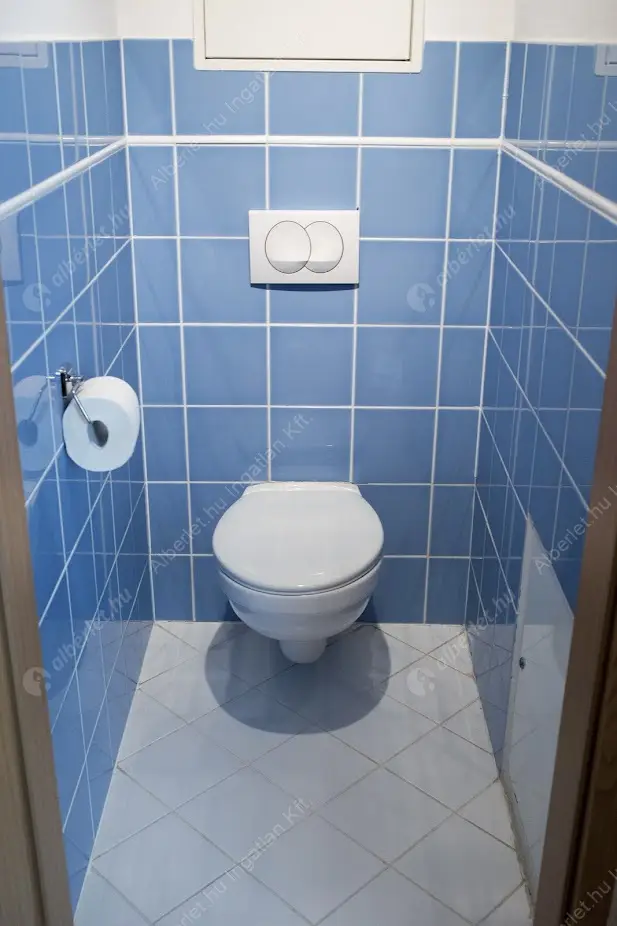 Kiadó albérlet 260000 Ft/hó áron: Budapest, IX. kerület  Thaly Kálmán utca. Mérete: 44 nm, 2 szobás | Alberlet.hu - 6587031