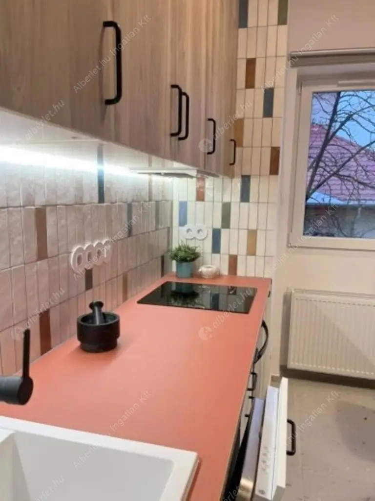 Kiadó albérlet 240000 Ft/hó áron: Budapest, IX. kerület  Tinódi utca. Mérete: 31 nm, 1 szobás | Alberlet.hu - 6617746