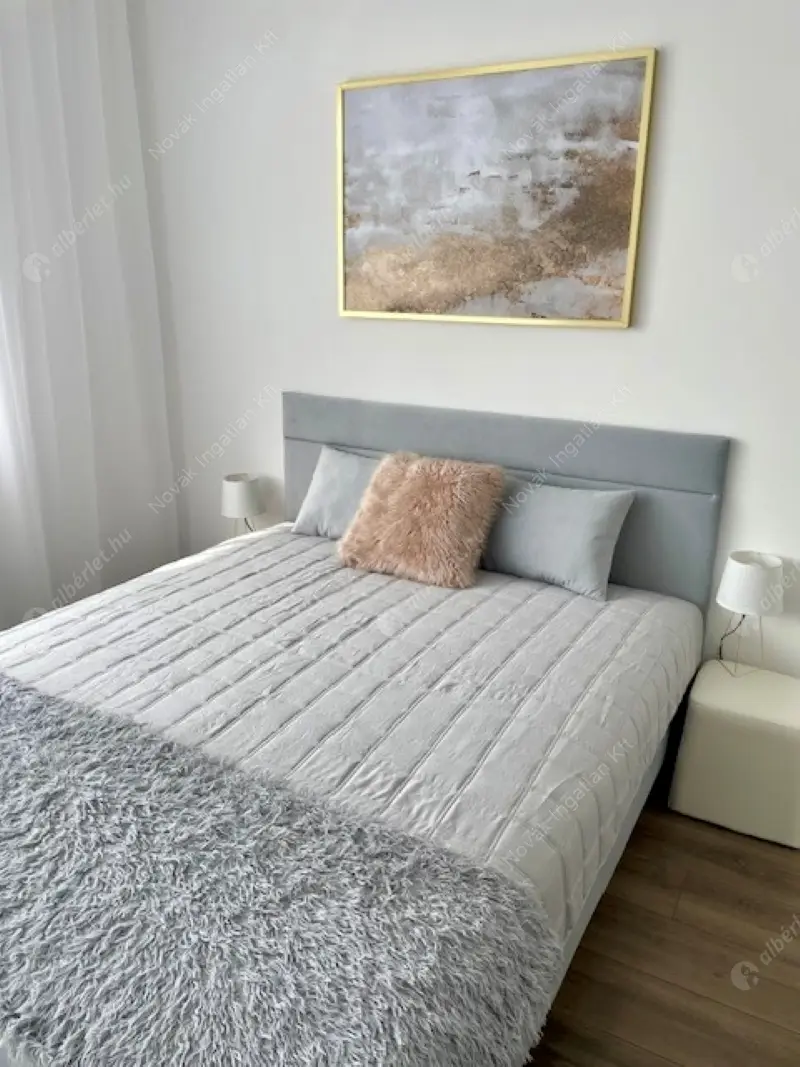 Kiadó albérlet 320000 Ft/hó áron: Budapest, IX. kerület  Tóth Kálmán utca. Mérete: 47 nm, 2 szobás | Alberlet.hu - 6579407