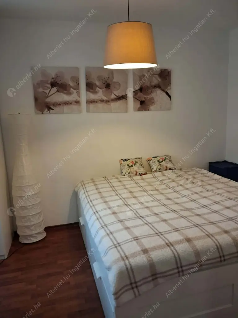 Kiadó albérlet 350000 Ft/hó áron: Budapest, IX. kerület  Tóth Kálmán utca. Mérete: 68 nm, 3 szobás | Alberlet.hu - 6600071