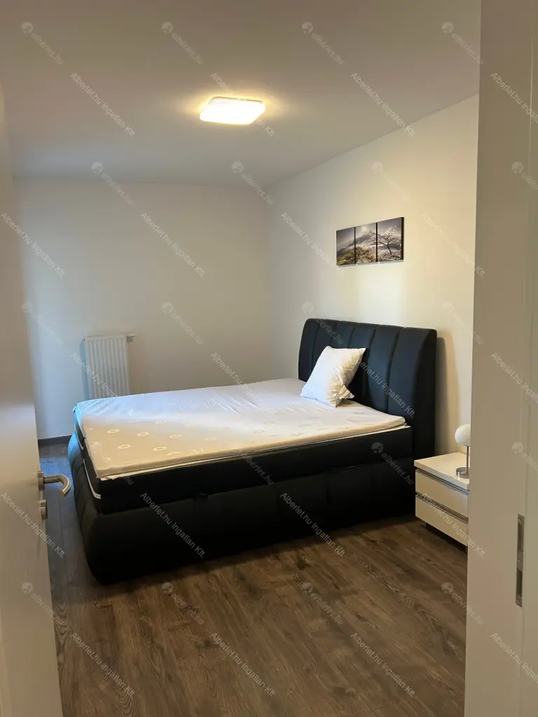 Kiadó albérlet 270000 Ft/hó áron: Budapest, IX. kerület  Tűzoltó  utca . Mérete: 43 nm, 2 szobás | Alberlet.hu - 6672302