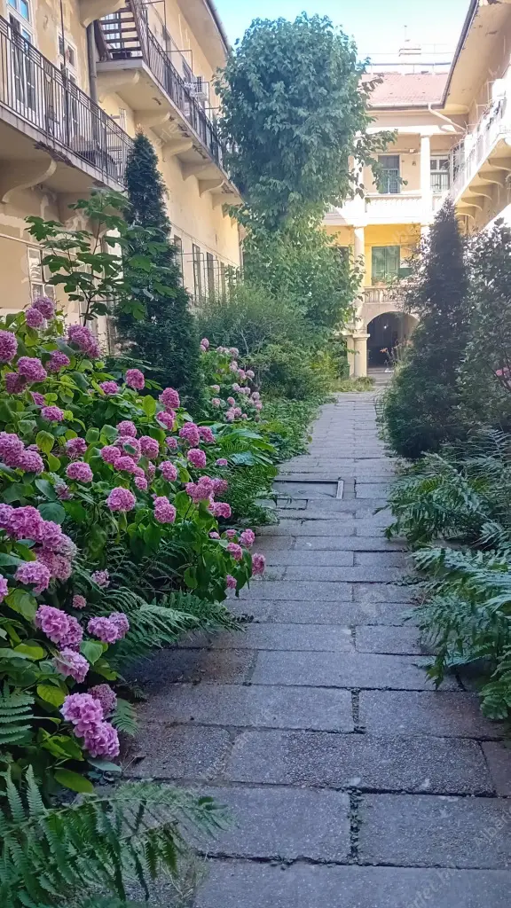 Kiadó albérlet 260000 Ft/hó áron: Budapest, IX. kerület  Üllői út. Mérete: 38 nm, 2 szobás | Alberlet.hu - 6515570