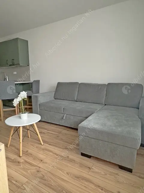 Kiadó albérlet 267000 Ft/hó áron: Budapest, IX. kerület  Vágóhíd utca. Mérete: 35 nm, 1 szobás | Alberlet.hu - 6571219