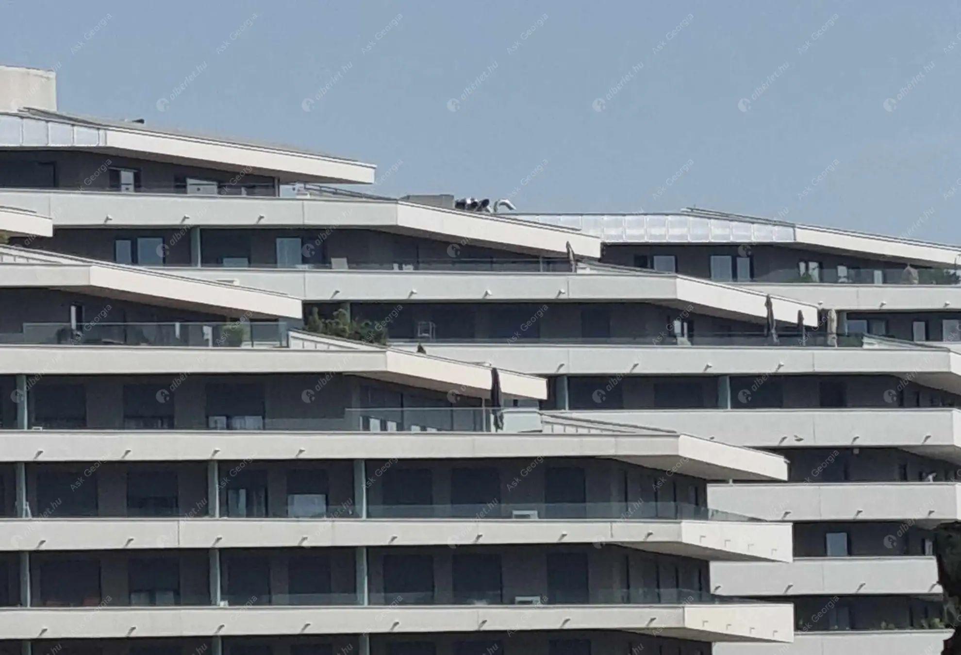 Kiadó albérlet 250000 Ft/hó áron: Budapest, IX. kerület  Vágóhíd utca. Mérete: 37 nm, 1 szobás | Alberlet.hu - 6631969