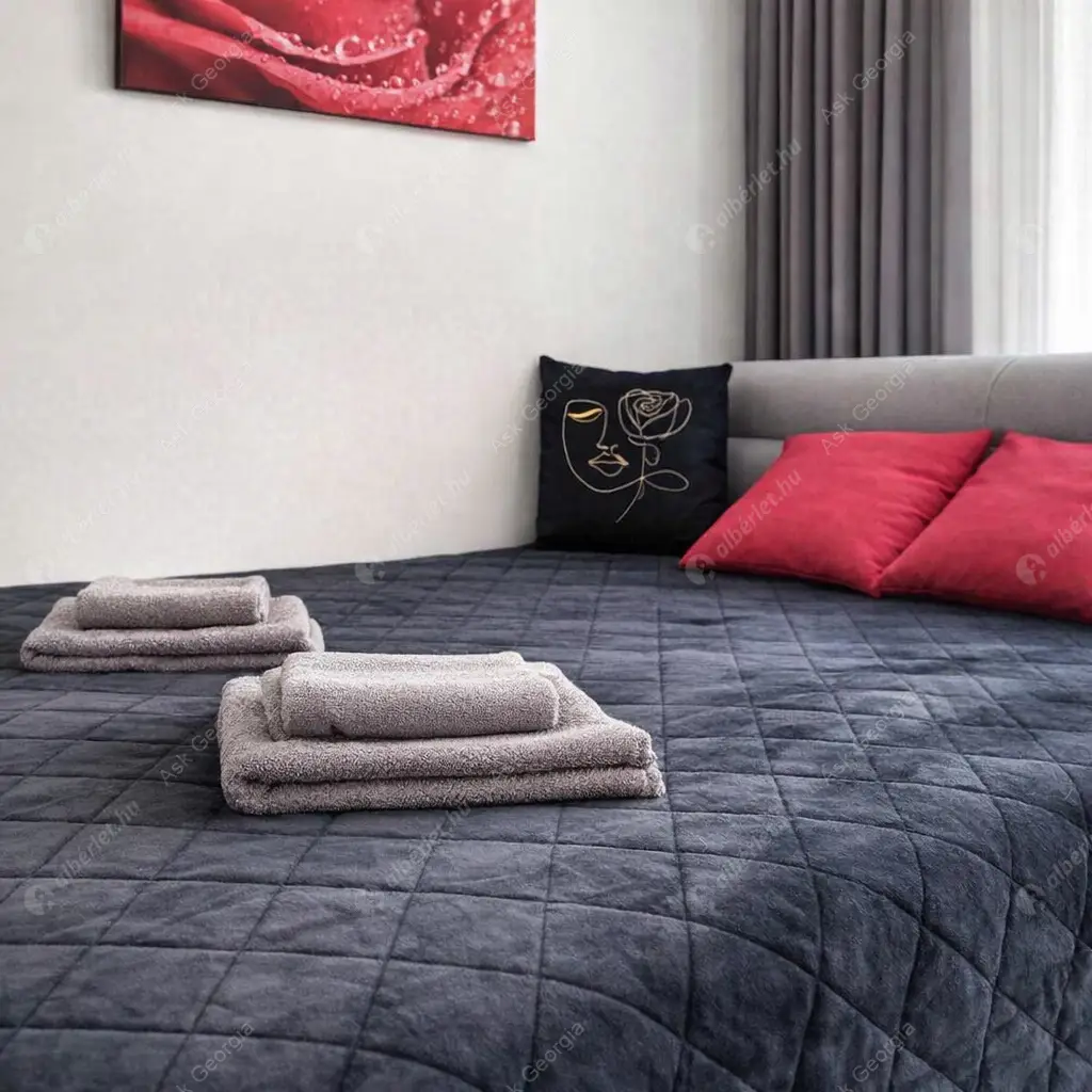 Kiadó albérlet 250000 Ft/hó áron: Budapest, IX. kerület  Vágóhíd utca. Mérete: 37 nm, 1 szobás | Alberlet.hu - 6632070