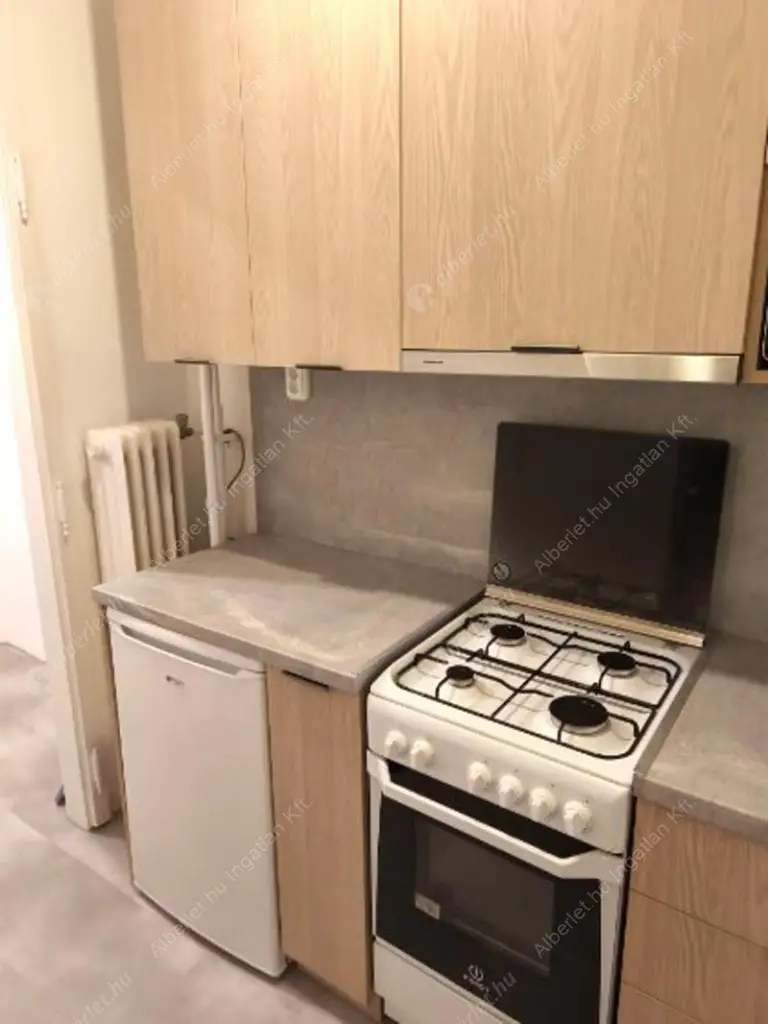 Kiadó albérlet 250000 Ft/hó áron: Budapest, V. kerület  Alkotmány utca. Mérete: 40 nm, 1 szobás | Alberlet.hu - 6540517