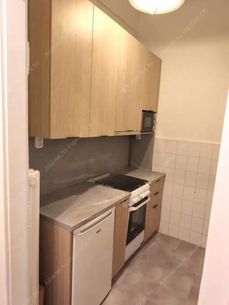 Kiadó albérlet 250000 Ft/hó áron: Budapest, V. kerület  Alkotmány utca. Mérete: 40 nm, 1 szobás | Alberlet.hu - 6540518