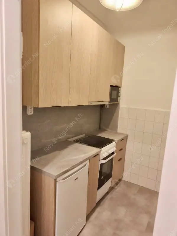 Kiadó albérlet 230000 Ft/hó áron: Budapest, V. kerület  Alkotmány utca. Mérete: 40 nm, 1 szobás | Alberlet.hu - 6583872