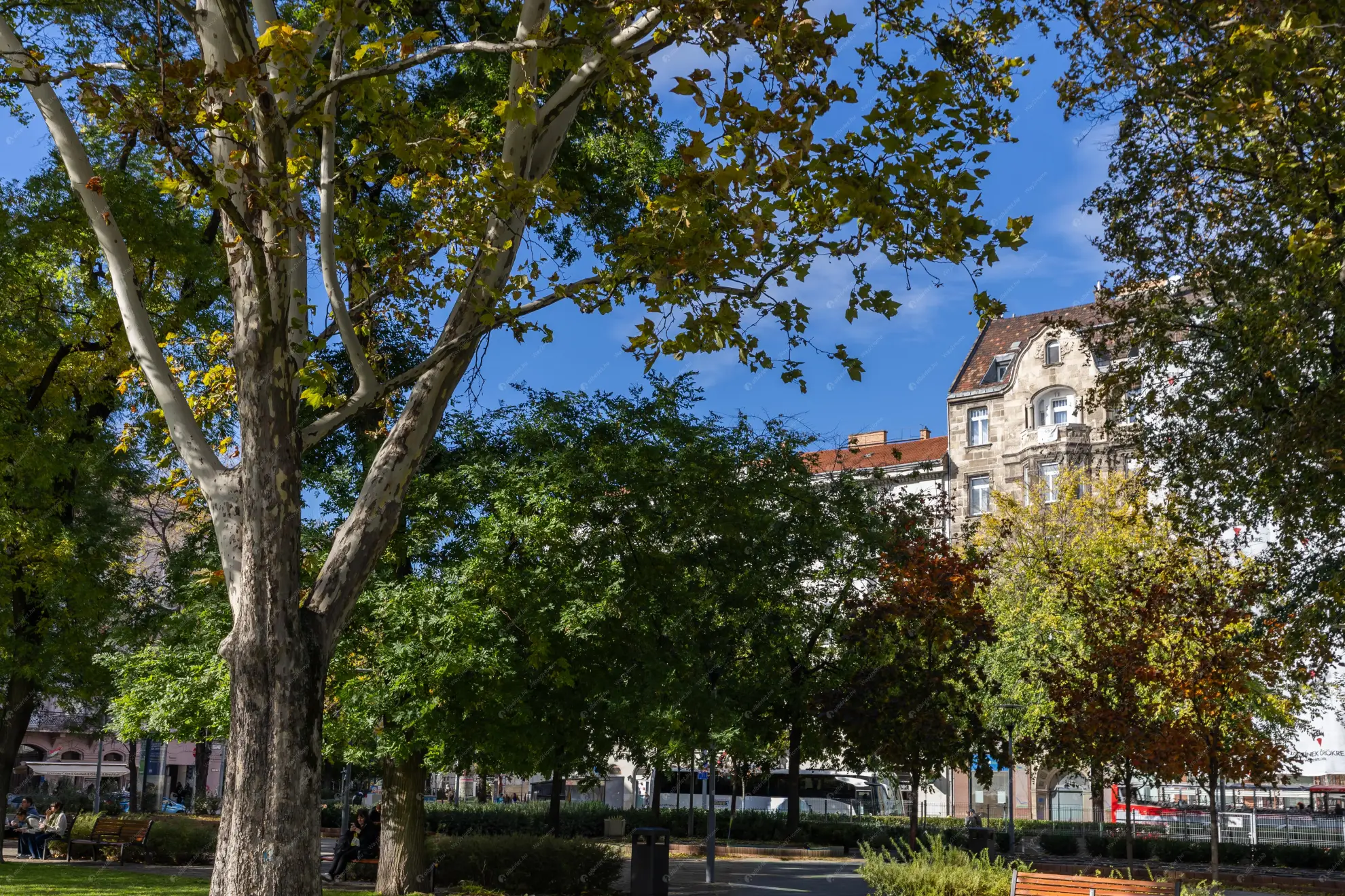 Kiadó albérlet 270000 Ft/hó áron: Budapest, V. kerület  József Attila utca. Mérete: 42 nm, 2 szobás | Alberlet.hu - 6627313