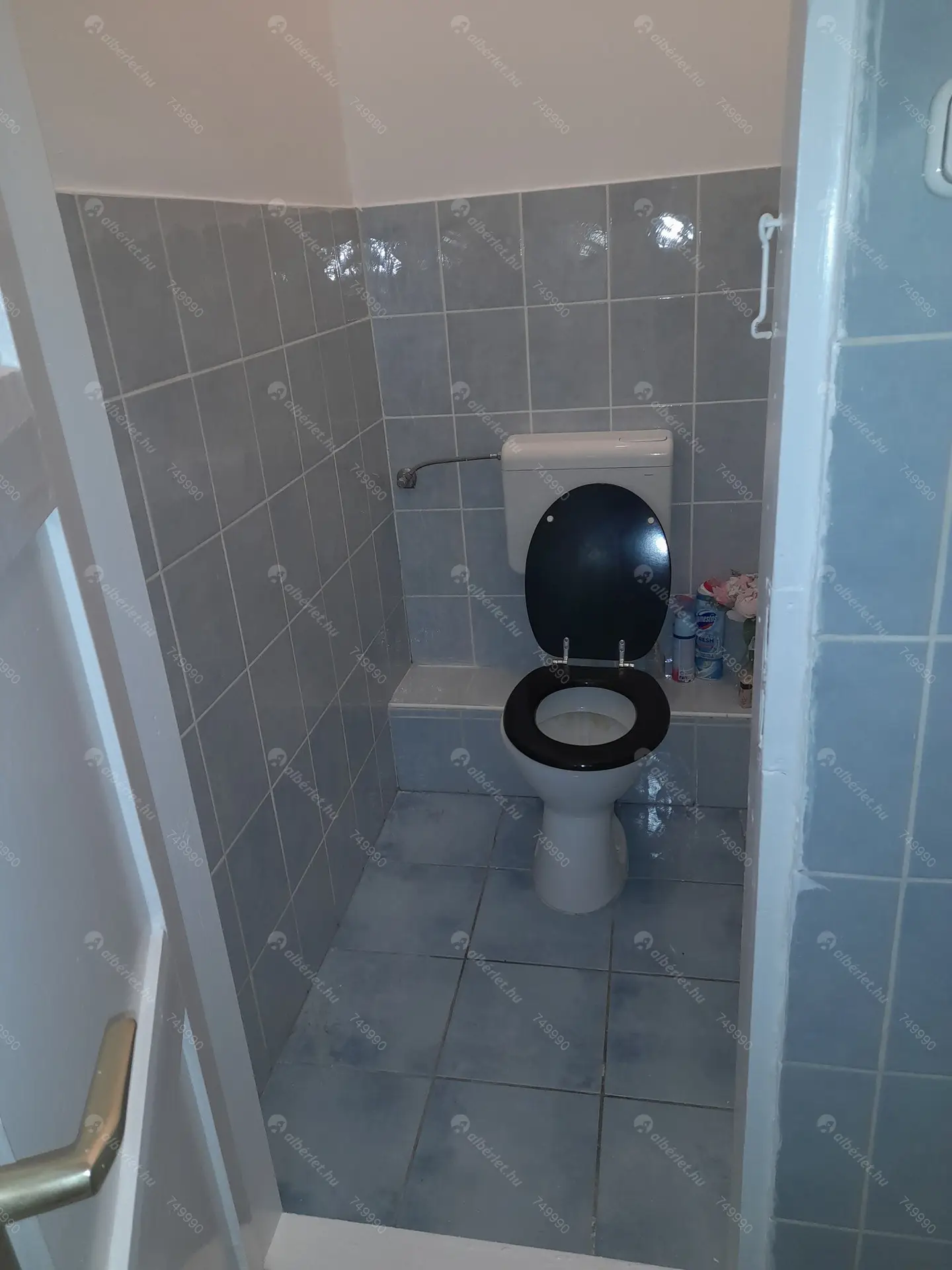 Kiadó albérlet 185000 Ft/hó áron: Budapest, V. kerület  Kálmán Imre utca. Mérete: 35 nm, 1 szobás | Alberlet.hu - 6296708