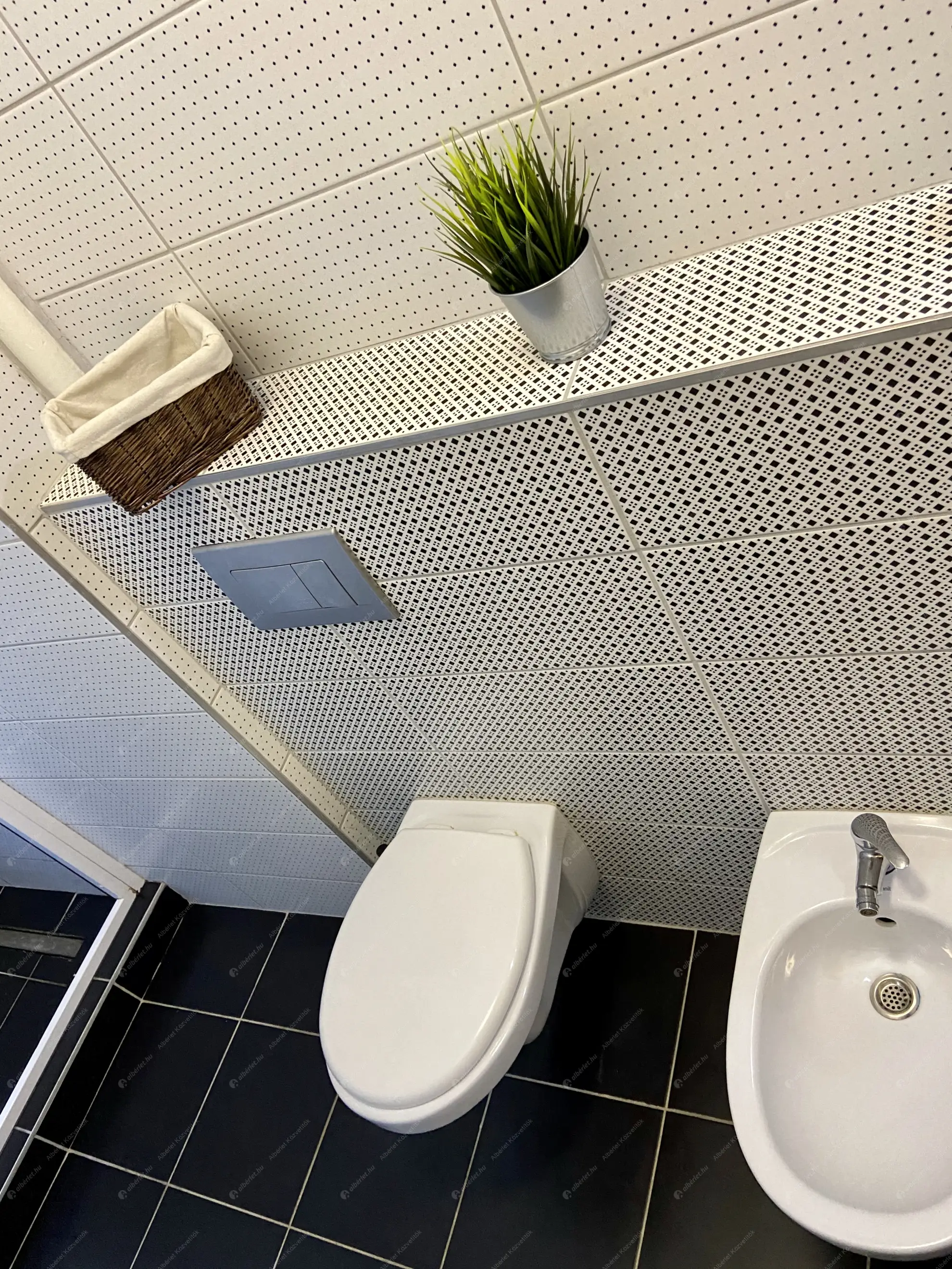 Kiadó albérlet 230000 Ft/hó áron: Budapest, V. kerület  Károly körút. Mérete: 55 nm, 3 szobás | Alberlet.hu - 6554264