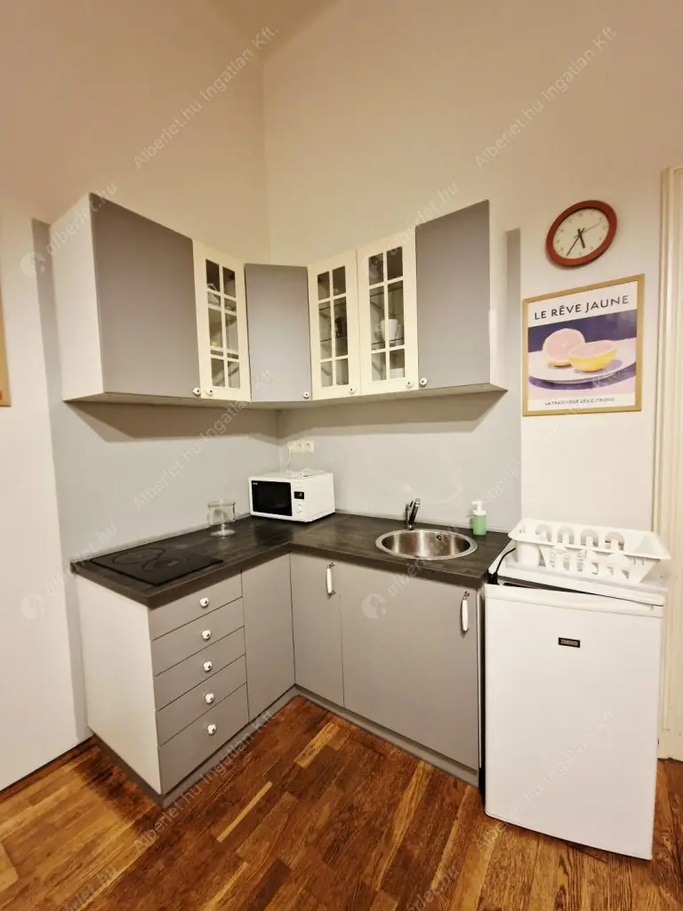 Kiadó albérlet 240000 Ft/hó áron: Budapest, V. kerület  Nagy Ignác utca. Mérete: 43 nm, 1 szobás | Alberlet.hu - 6634870