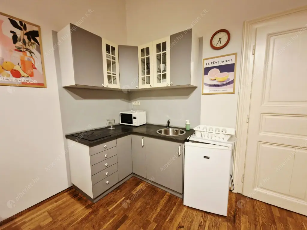 Kiadó albérlet 230000 Ft/hó áron: Budapest, V. kerület  Nagy Ignác utca. Mérete: 43 nm, 1 szobás | Alberlet.hu - 6639293