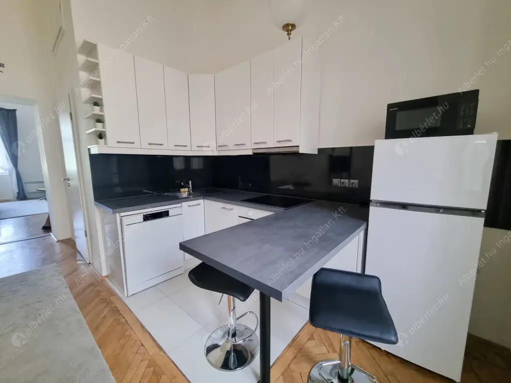 Kiadó albérlet 299000 Ft/hó áron: Budapest, VI. kerület  Andrássy út. Mérete: 57 nm, 1 szobás | Alberlet.hu - 6558468