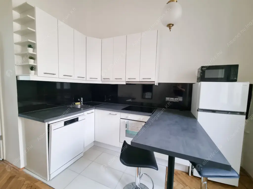 Kiadó albérlet 299000 Ft/hó áron: Budapest, VI. kerület  Andrássy út. Mérete: 57 nm, 1 szobás | Alberlet.hu - 6558469