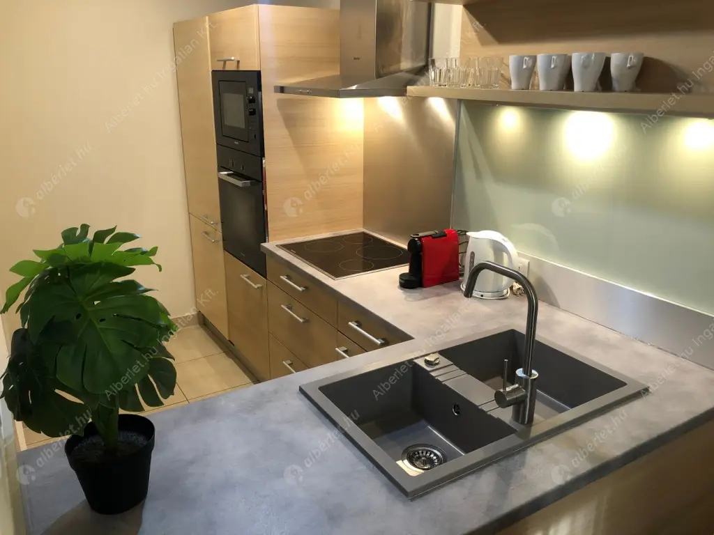 Kiadó albérlet 369000 Ft/hó áron: Budapest, VI. kerület  Andrássy út. Mérete: 57 nm, 1 szobás | Alberlet.hu - 6517702