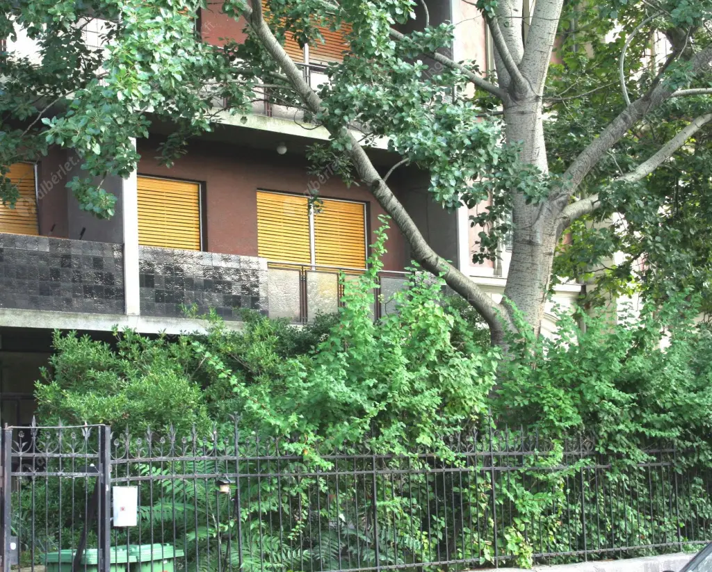 Kiadó albérlet 359000 Ft/hó áron: Budapest, VI. kerület  Andrássy út. Mérete: 80 nm, 3 szobás | Alberlet.hu - 6625713