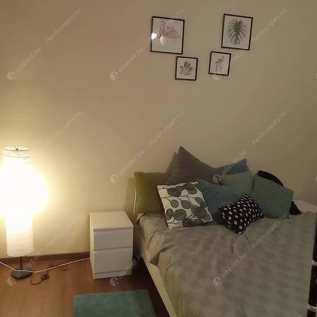 Kiadó albérlet 260000 Ft/hó áron: Budapest, VI. kerület  Bajnok utca. Mérete: 43 nm, 1 szobás | Alberlet.hu - 5751239