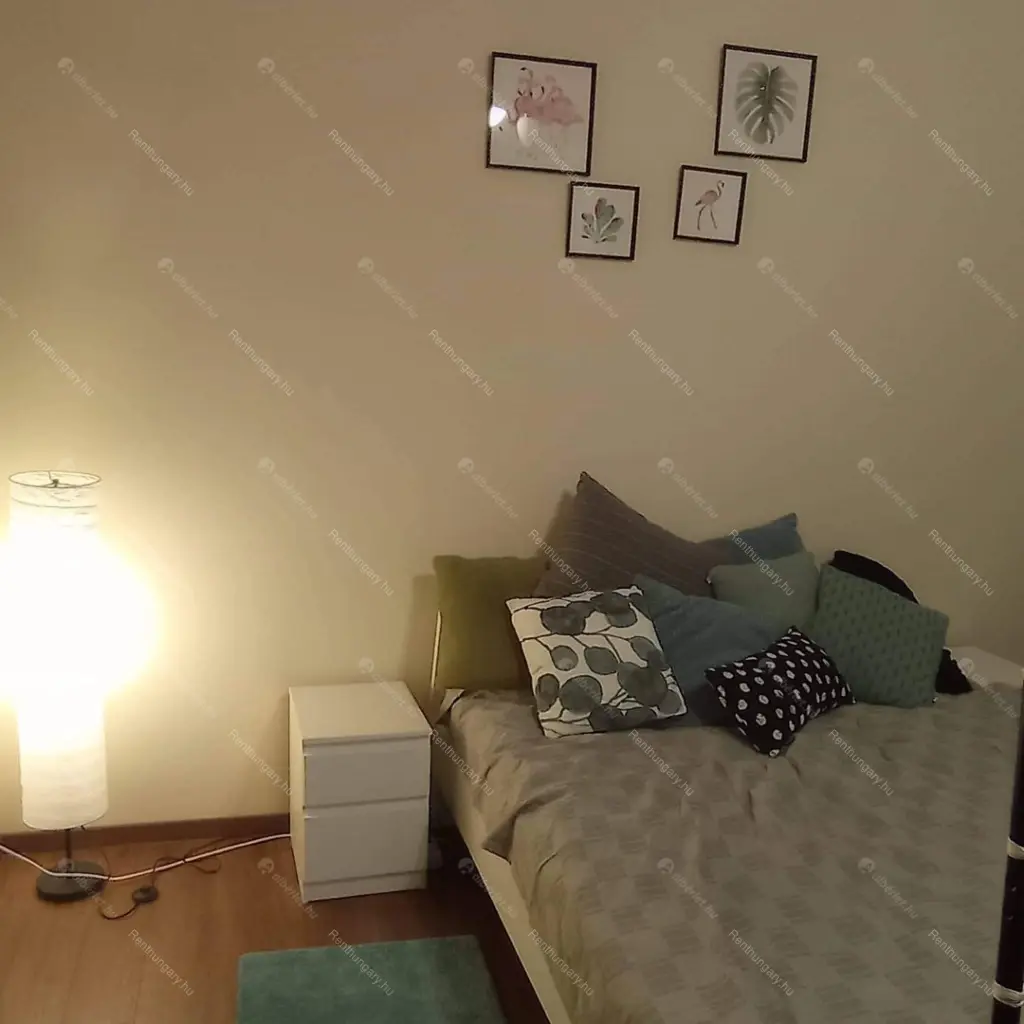 Kiadó albérlet 249000 Ft/hó áron: Budapest, VI. kerület  Bajnok utca. Mérete: 43 nm, 1 szobás | Alberlet.hu - 6654610