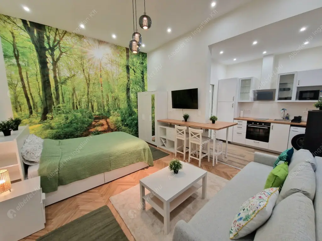 Kiadó albérlet 220000 Ft/hó áron: Budapest, VI. kerület  Bajza utca. Mérete: 28 nm, 1 szobás | Alberlet.hu - 6578405