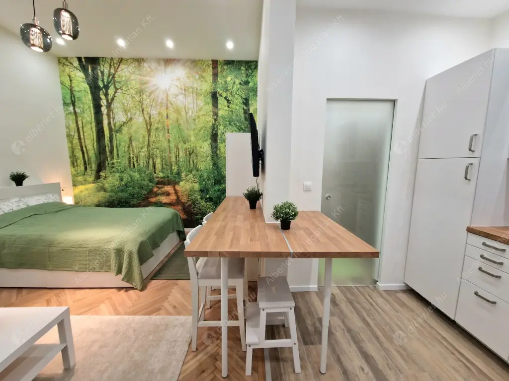 Kiadó albérlet 220000 Ft/hó áron: Budapest, VI. kerület  Bajza utca. Mérete: 28 nm, 1 szobás | Alberlet.hu - 6578406