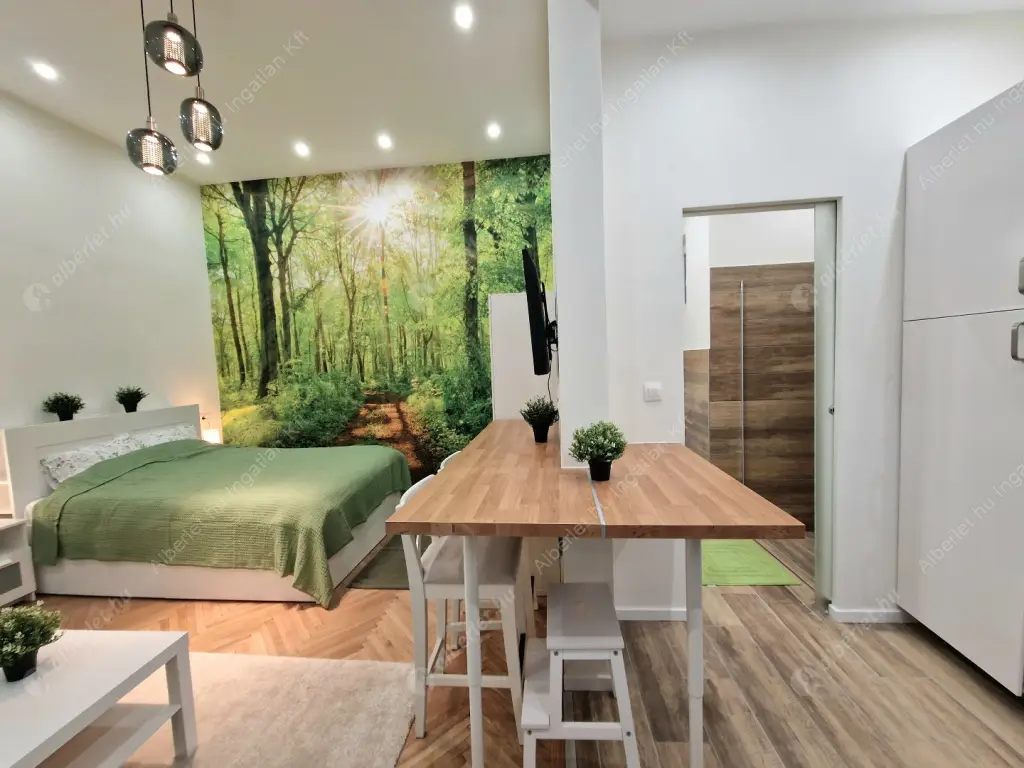 Kiadó albérlet 220000 Ft/hó áron: Budapest, VI. kerület  Bajza utca. Mérete: 28 nm, 1 szobás | Alberlet.hu - 6578415