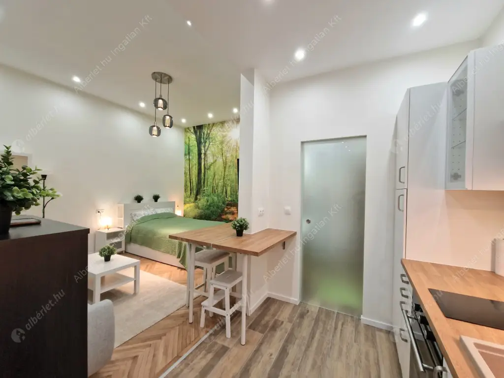 Kiadó albérlet 220000 Ft/hó áron: Budapest, VI. kerület  Bajza utca. Mérete: 28 nm, 1 szobás | Alberlet.hu - 6578416