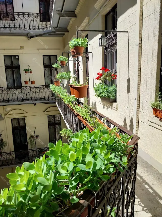 Kiadó albérlet 273000 Ft/hó áron: Budapest, VI. kerület  Bajza utca. Mérete: 57 nm, 1 szobás | Alberlet.hu - 6687353