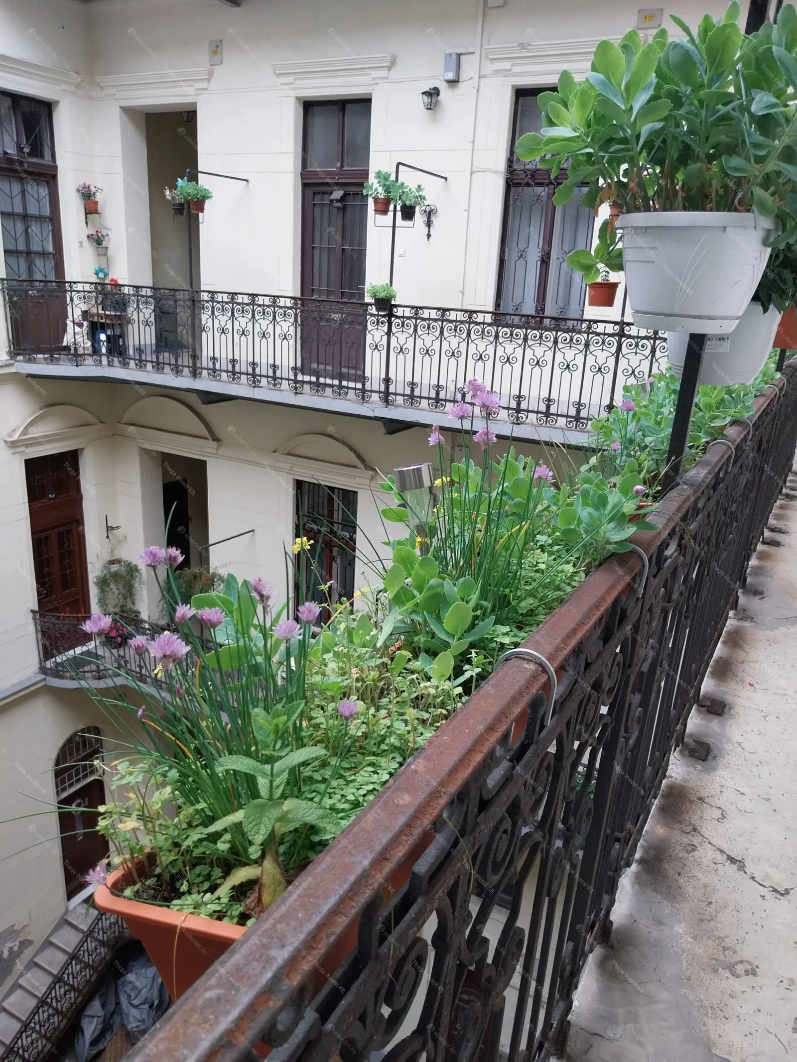 Kiadó albérlet 273000 Ft/hó áron: Budapest, VI. kerület  Bajza utca. Mérete: 57 nm, 2 szobás | Alberlet.hu - 6691837