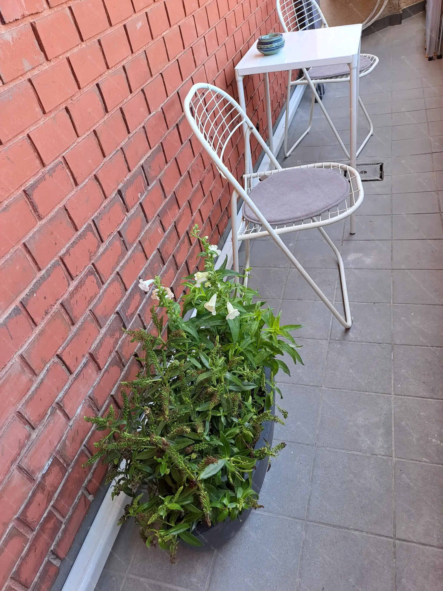 Kiadó albérlet 250000 Ft/hó áron: Budapest, VI. kerület  Benczúr utca. Mérete: 34 nm, 1 szobás | Alberlet.hu - 6573651