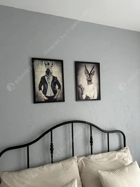 Kiadó albérlet 350000 Ft/hó áron: Budapest, VI. kerület  Csengery utca. Mérete: 42 nm, 2 szobás | Alberlet.hu - 6631648