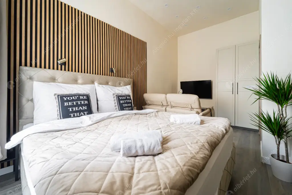 Kiadó albérlet 250000 Ft/hó áron: Budapest, VI. kerület  Dessewffy utca. Mérete: 28 nm, 1 szobás | Alberlet.hu - 6587145