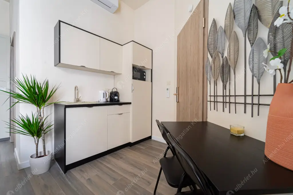 Kiadó albérlet 250000 Ft/hó áron: Budapest, VI. kerület  Dessewffy utca. Mérete: 28 nm, 1 szobás | Alberlet.hu - 6587150