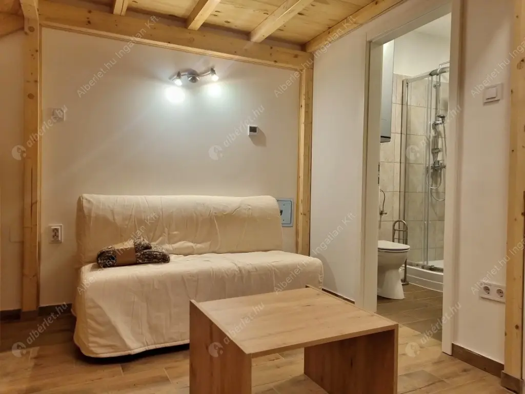 Kiadó albérlet 219000 Ft/hó áron: Budapest, VI. kerület  Eötvös utca. Mérete: 22 nm, 1 szobás | Alberlet.hu - 6619794