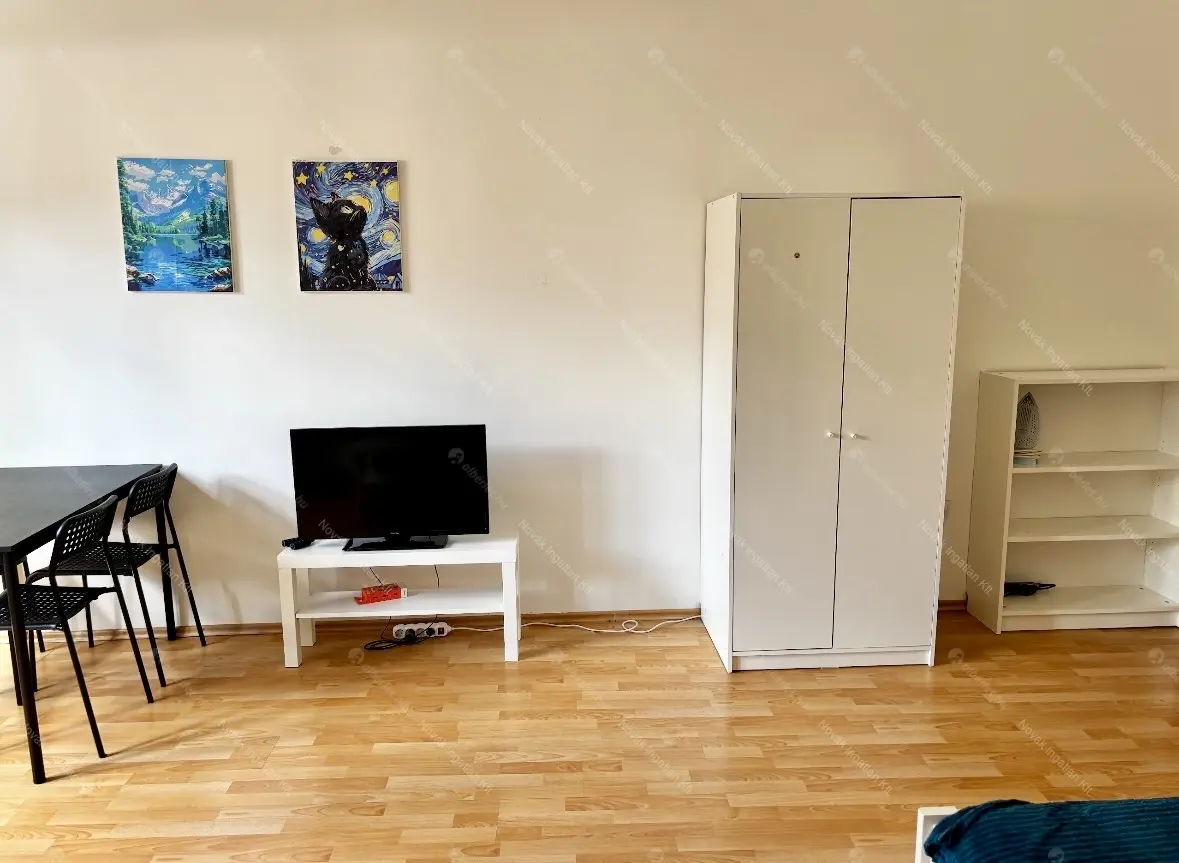 Kiadó albérlet 180000 Ft/hó áron: Budapest, VI. kerület  Eötvös utca. Mérete: 42 nm, 1 szobás | Alberlet.hu - 6698567