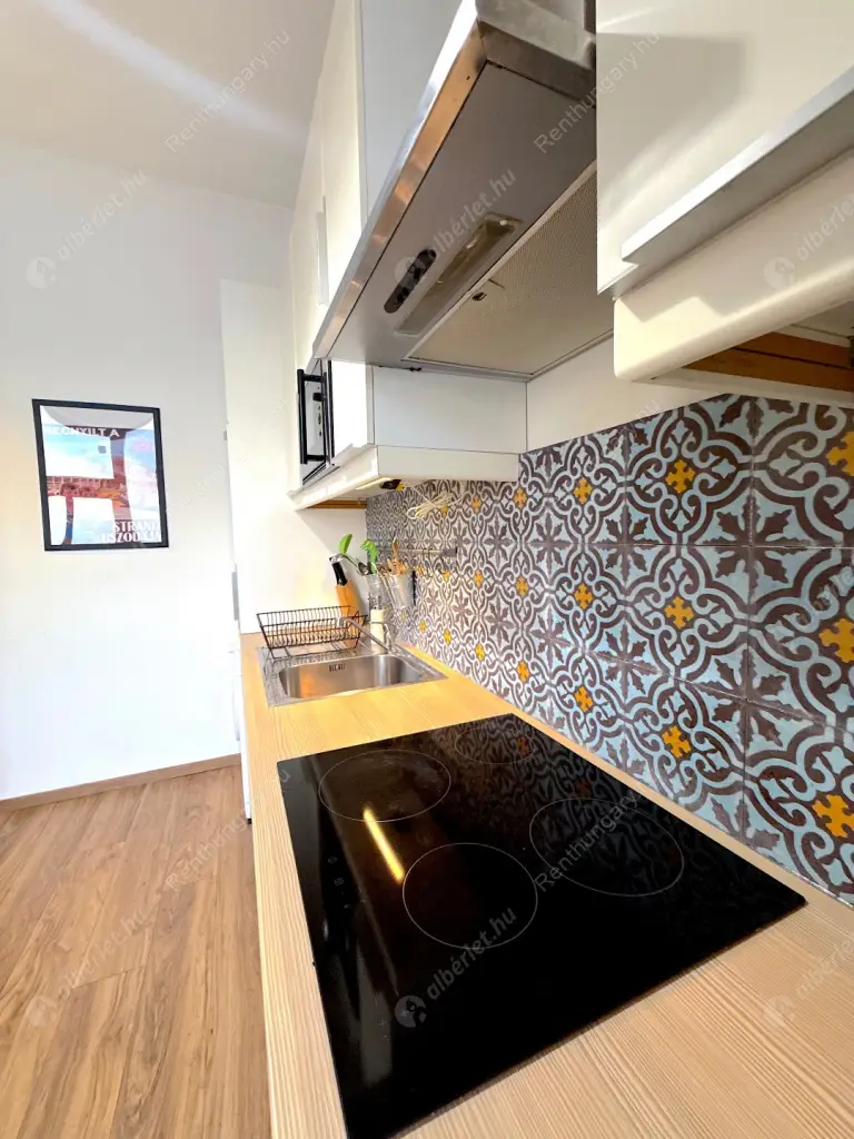 Kiadó albérlet 230000 Ft/hó áron: Budapest, VI. kerület  Eötvös utca. Mérete: 45 nm, 1 szobás | Alberlet.hu - 6579717