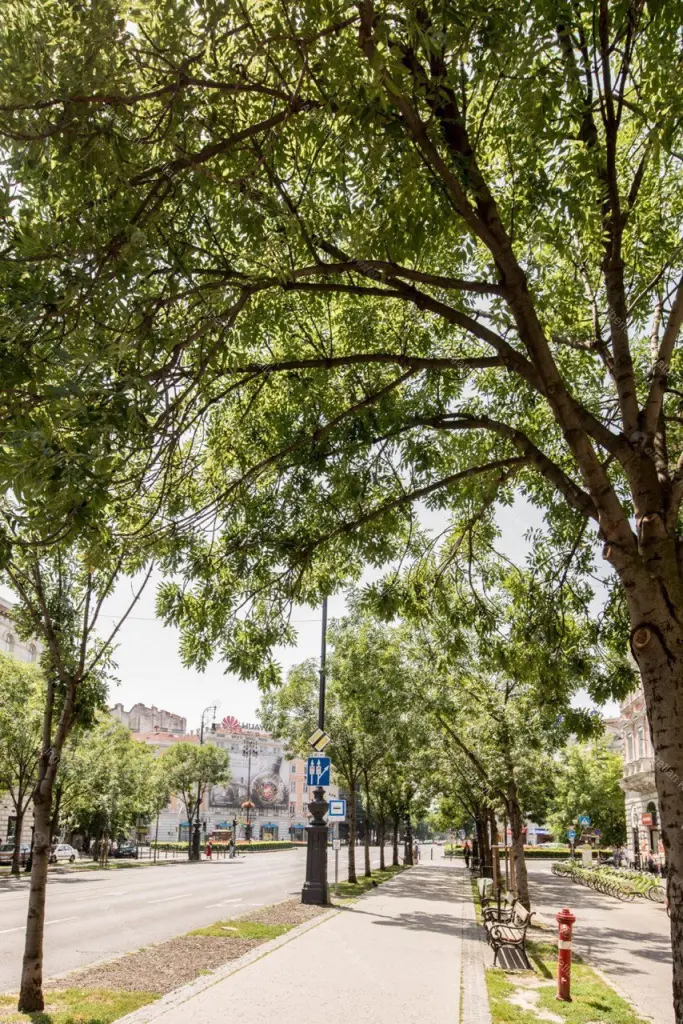 Kiadó albérlet 322000 Ft/hó áron: Budapest, VI. kerület  Eötvös utca. Mérete: 78 nm, 2 szobás | Alberlet.hu - 6646235