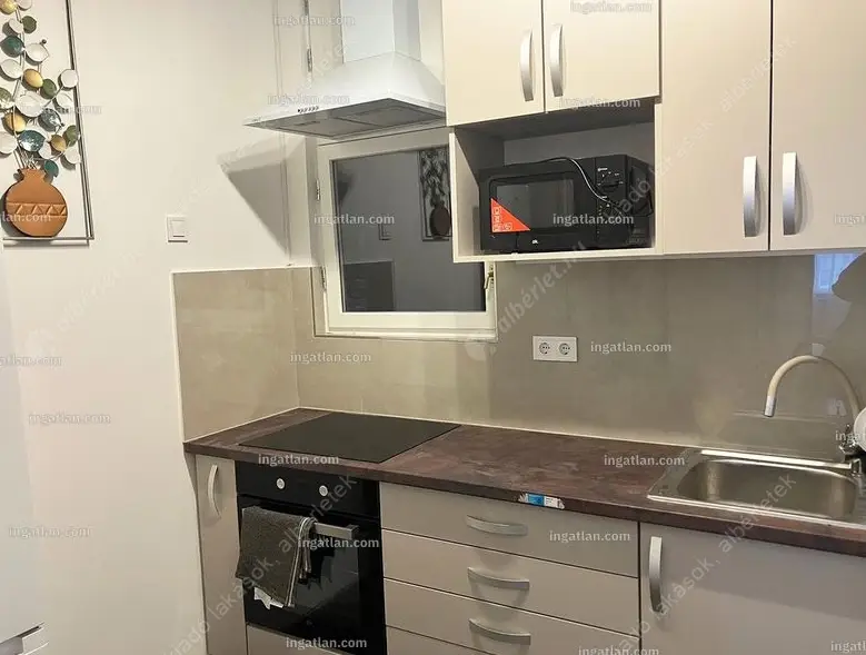 Kiadó albérlet 300000 Ft/hó áron: Budapest, VI. kerület  Eötvös utca. Mérete: 83 nm, 3 szobás | Alberlet.hu - 6632390