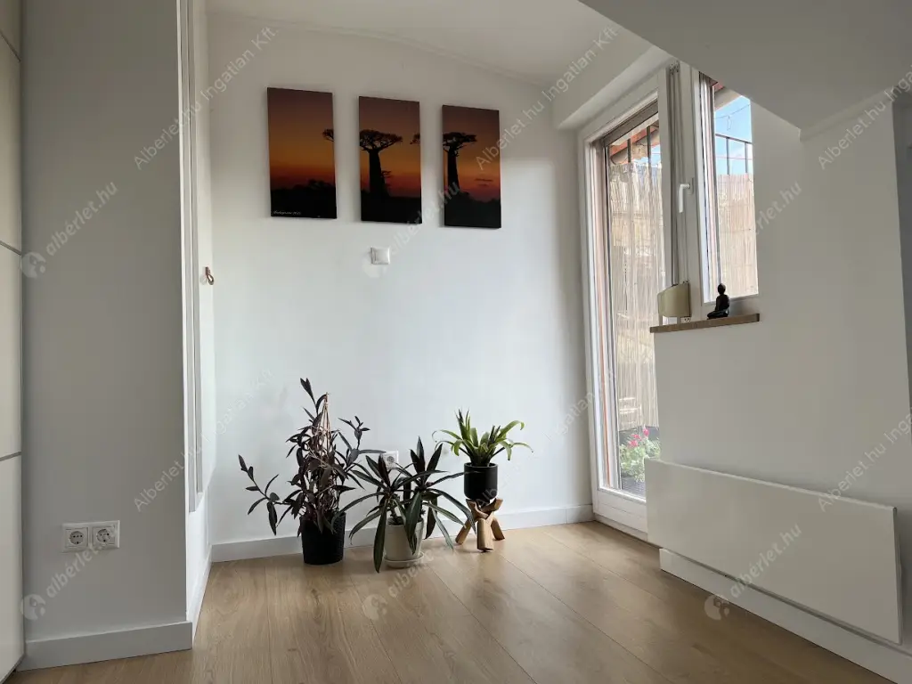 Kiadó albérlet 400000 Ft/hó áron: Budapest, VI. kerület  Hunyadi tér. Mérete: 75 nm, 3 szobás | Alberlet.hu - 6636921