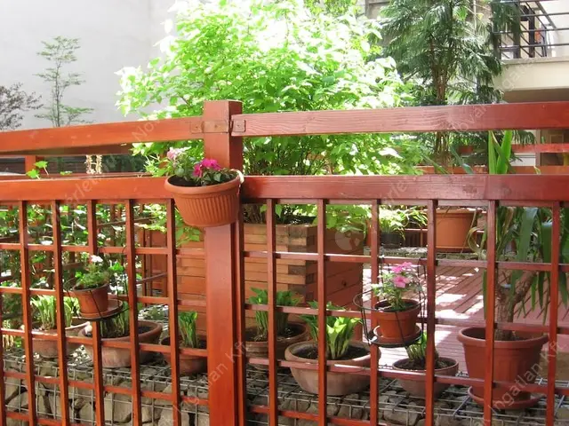 Kiadó albérlet 340000 Ft/hó áron: Budapest, VI. kerület  Káldy Gyula utca. Mérete: 51 nm, 2 szobás | Alberlet.hu - 6620904