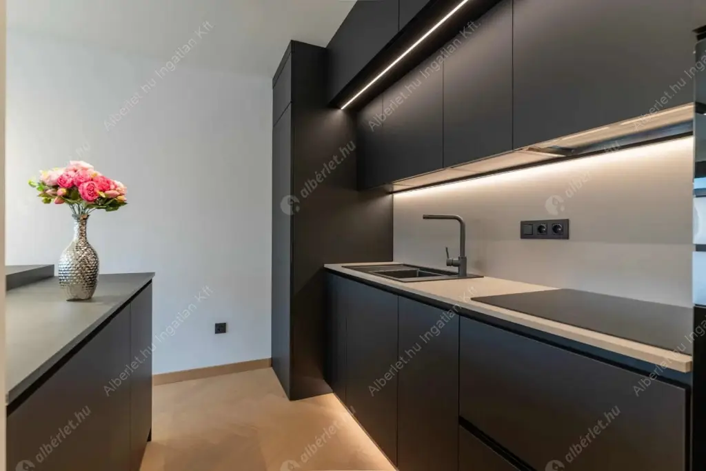 Kiadó albérlet 694000 Ft/hó áron: Budapest, VI. kerület  Király utca. Mérete: 67 nm, 2 szobás | Alberlet.hu - 6574848