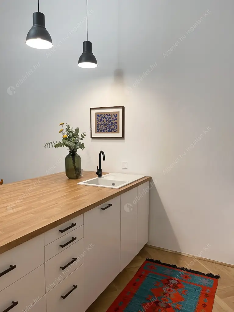 Kiadó albérlet 550000 Ft/hó áron: Budapest, VI. kerület  Király utca. Mérete: 80 nm, 3 szobás | Alberlet.hu - 6518882