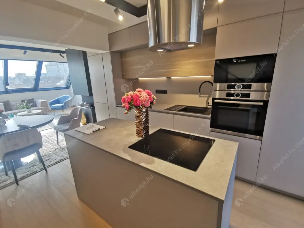 Kiadó albérlet 1013000 Ft/hó áron: Budapest, VI. kerület  Király utca. Mérete: 85 nm, 3 szobás | Alberlet.hu - 6517338